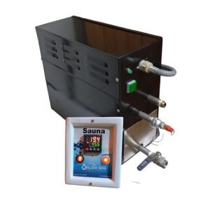 Generador de vapor electrico