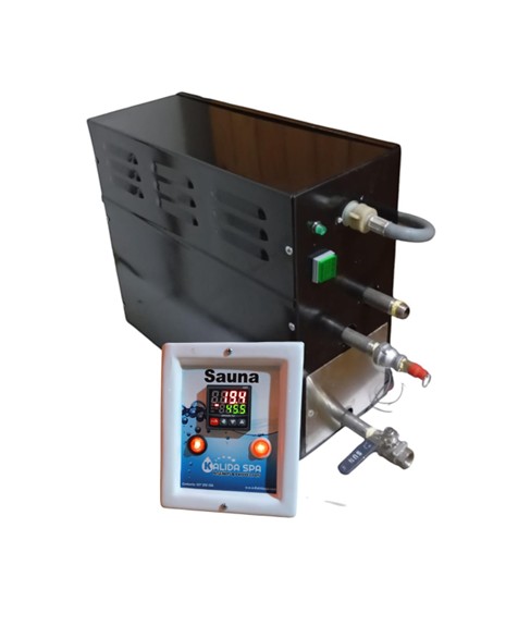 Generador de vapor electrico